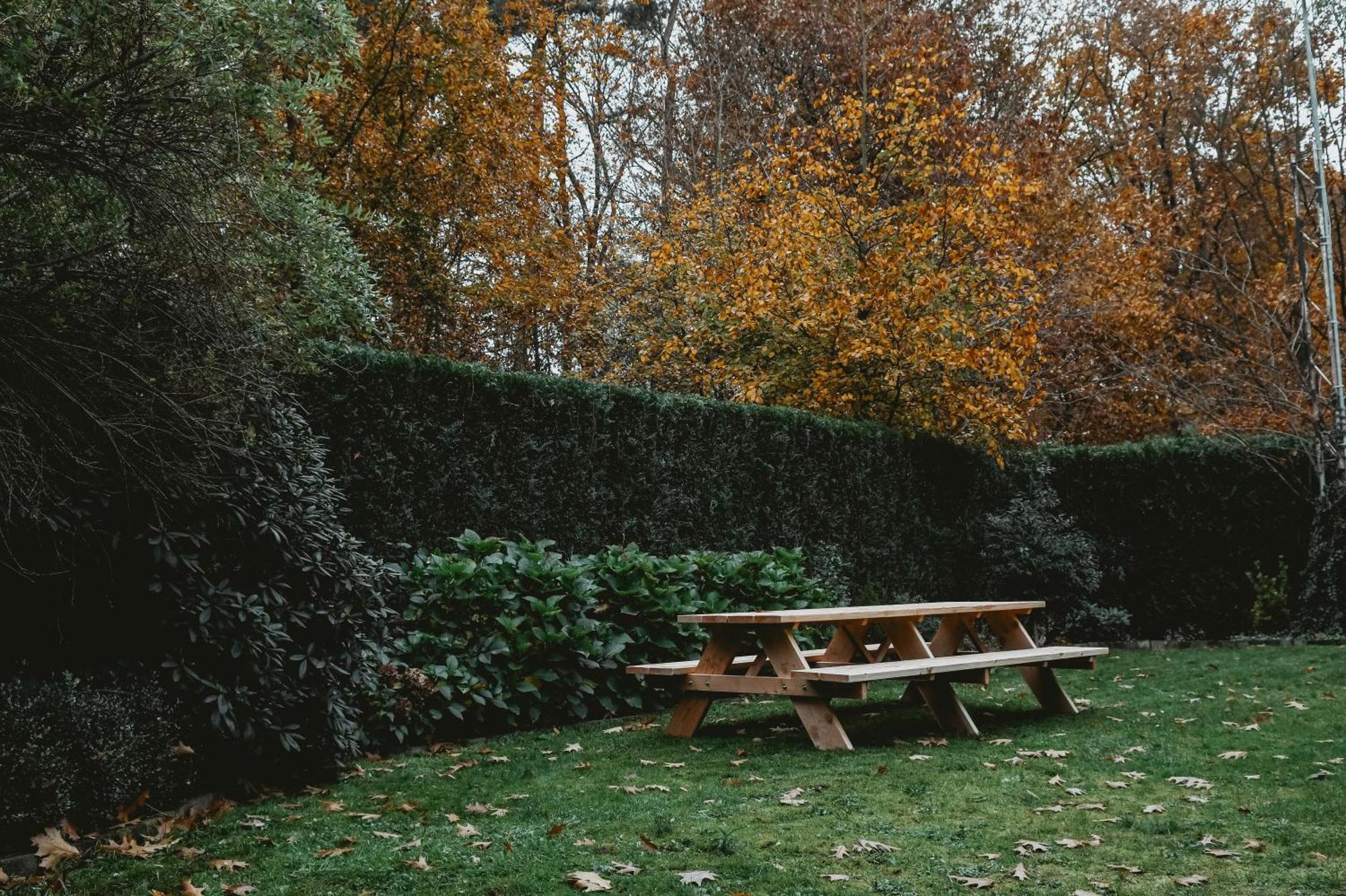 Boshuisje Rekem - Flora Lanaken Buitenkant foto